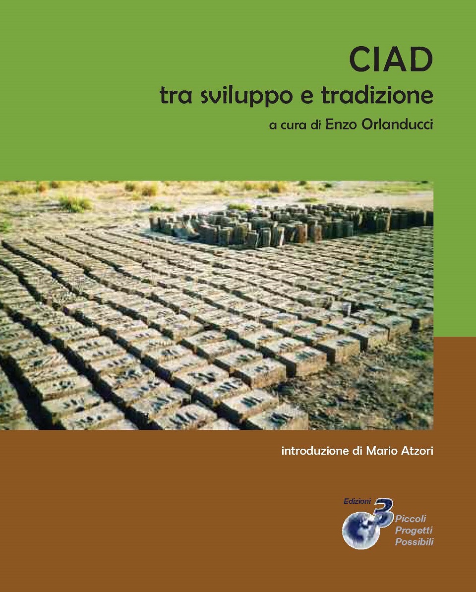 Cover of CIAD tra sviluppo e tradizione