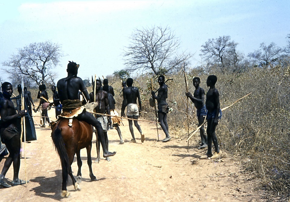 chasse Lamba