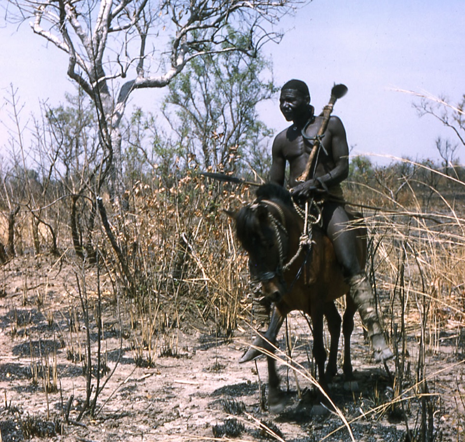 Animaux et chasse