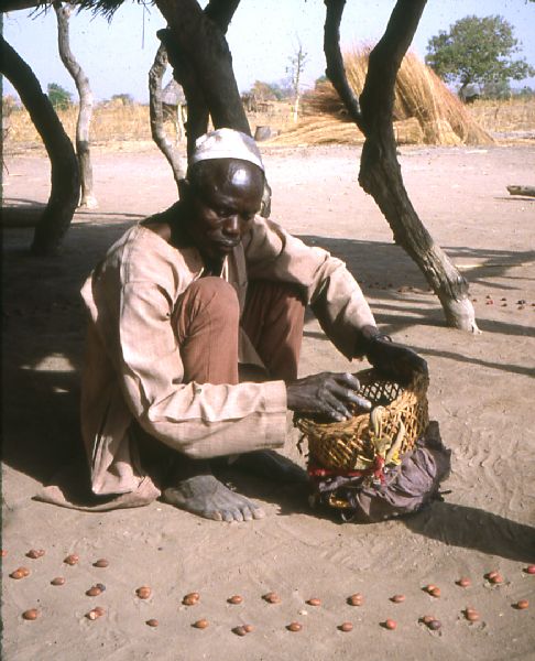 Garira leg