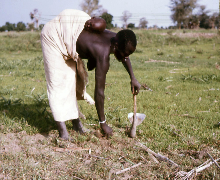 Maman cultivant