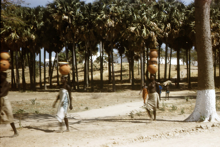 allant march Yagoua