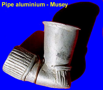 pip-musey