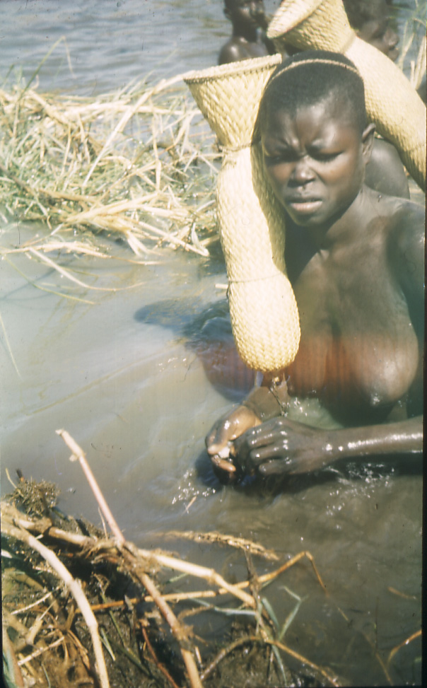 Panier tetepoisson