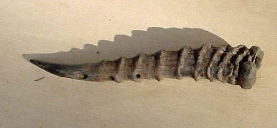 diffa