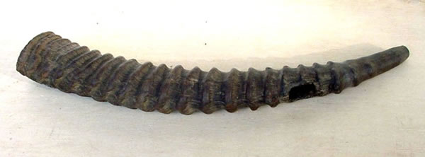 togolomma